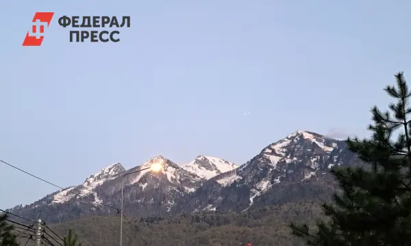 Владимир Путин обсудил развитие туризма Сочи с ОНФ и Михаилом Кузнецовым-0