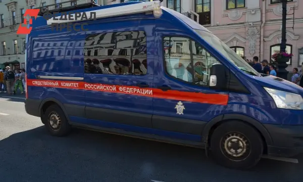 Заур Исмаилов выразил раскаяние, дело направлено в Дорогомиловский суд-0