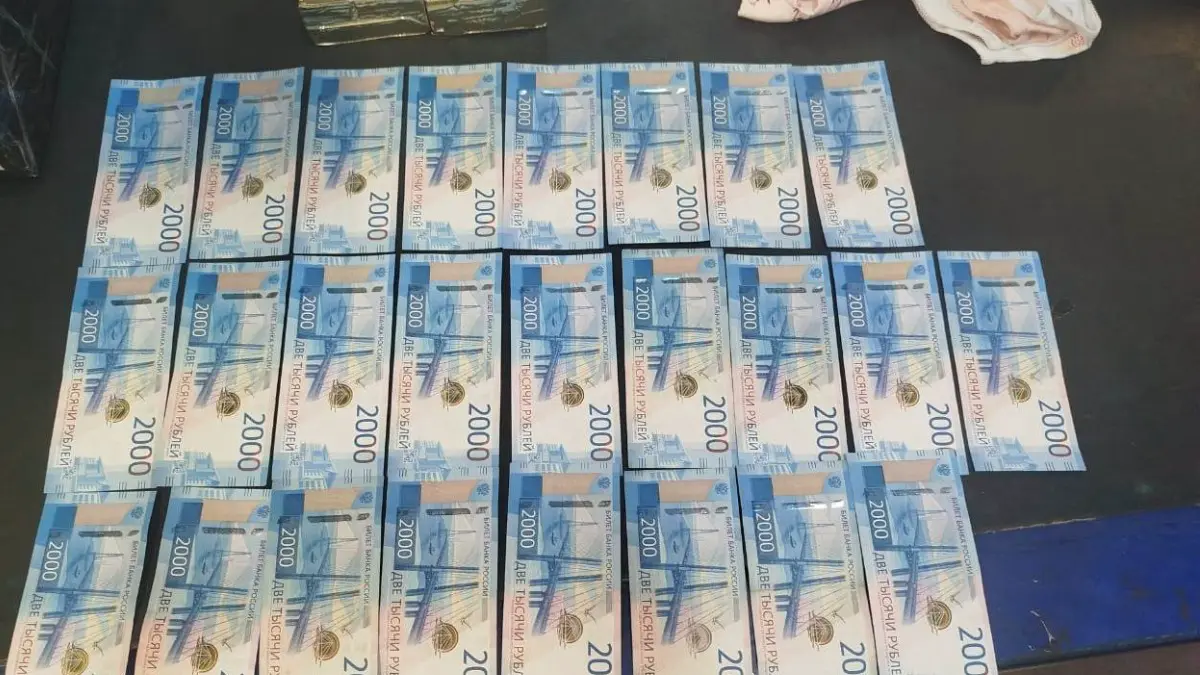 Собака таможенников из Москвы нашла в посылке из Германии крупную сумму денег