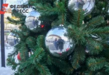 Зимние развлечения на площади имени Ленина в Хабаровске и Владивостоке zimnie razvlecheniya na ploshhadi imeni lenina v habarovske i vladivostoke-stanural-ru-0