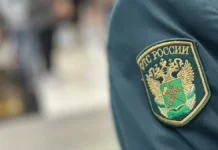 Балтийская таможня и российские таможенники задержали крупную партию кокаина baltijskaya tamozhnya i rossijskie tamozhenniki zaderzhali krupnuyu partiyu kokaina-stanural-ru-0