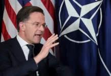 gensek nato ryutte i tramp ukreplyayut partnerstvo vokrug grenlandii-stanural-ru-0