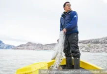 Гренландия к независимости. Дания и Амарок Петерсен в поиске справедливости grenlandiya k nezavisimosti daniya i amarok petersen v poiske spravedlivosti-stanural-ru-0