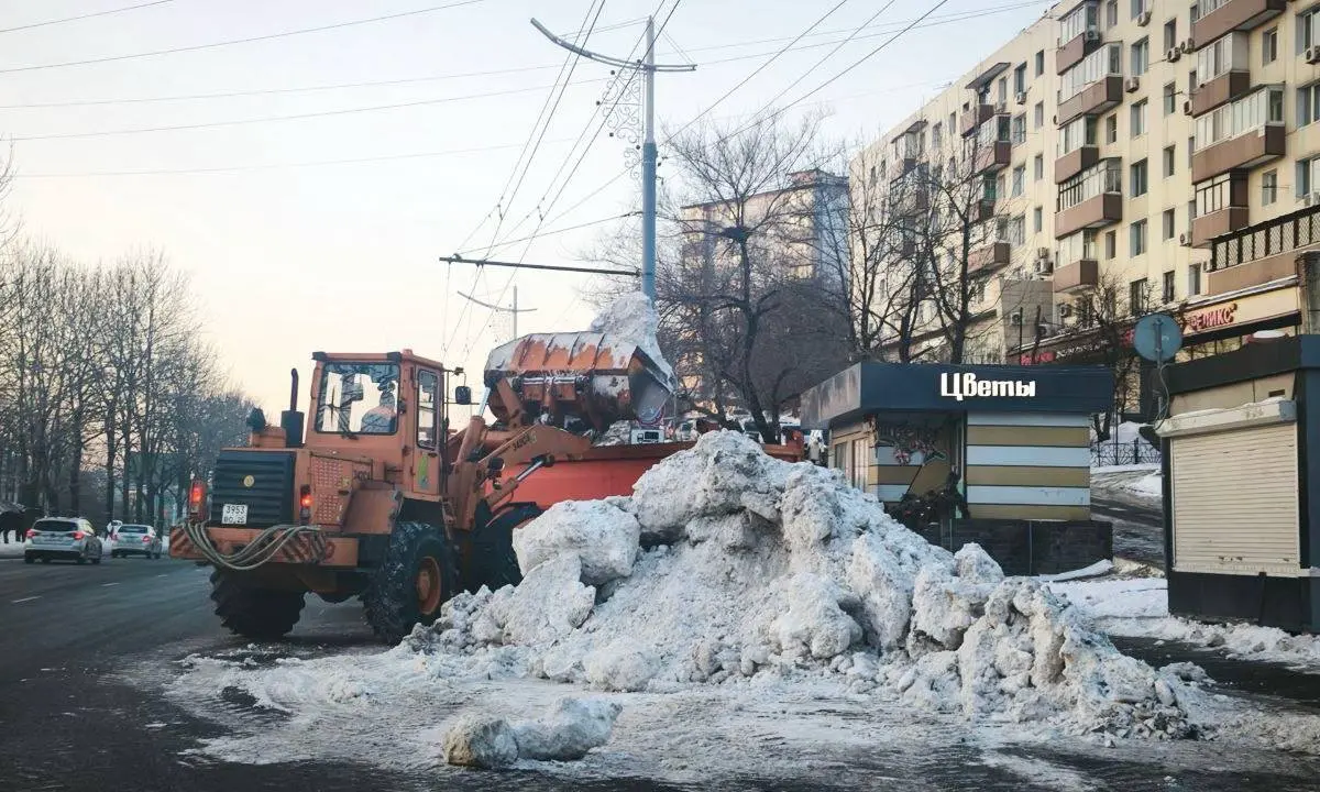 Более 5 тысяч кубометров снега вывезли за ночь с улиц Владивостока Пресс-служба содержания городских территорий Владивостока