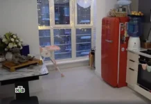 Корнелия Манго из «Фабрики звезд» купила квартиру в Красногорске korneliya mango iz fabriki zvezd kupila kvartiru v krasnogorske-stanural-ru-0