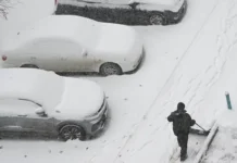 Кошелев и Госдума: новые правила чистоты дворов зимой koshelev i gosduma novye pravila chistoty dvorov zimoj-stanural-ru-0