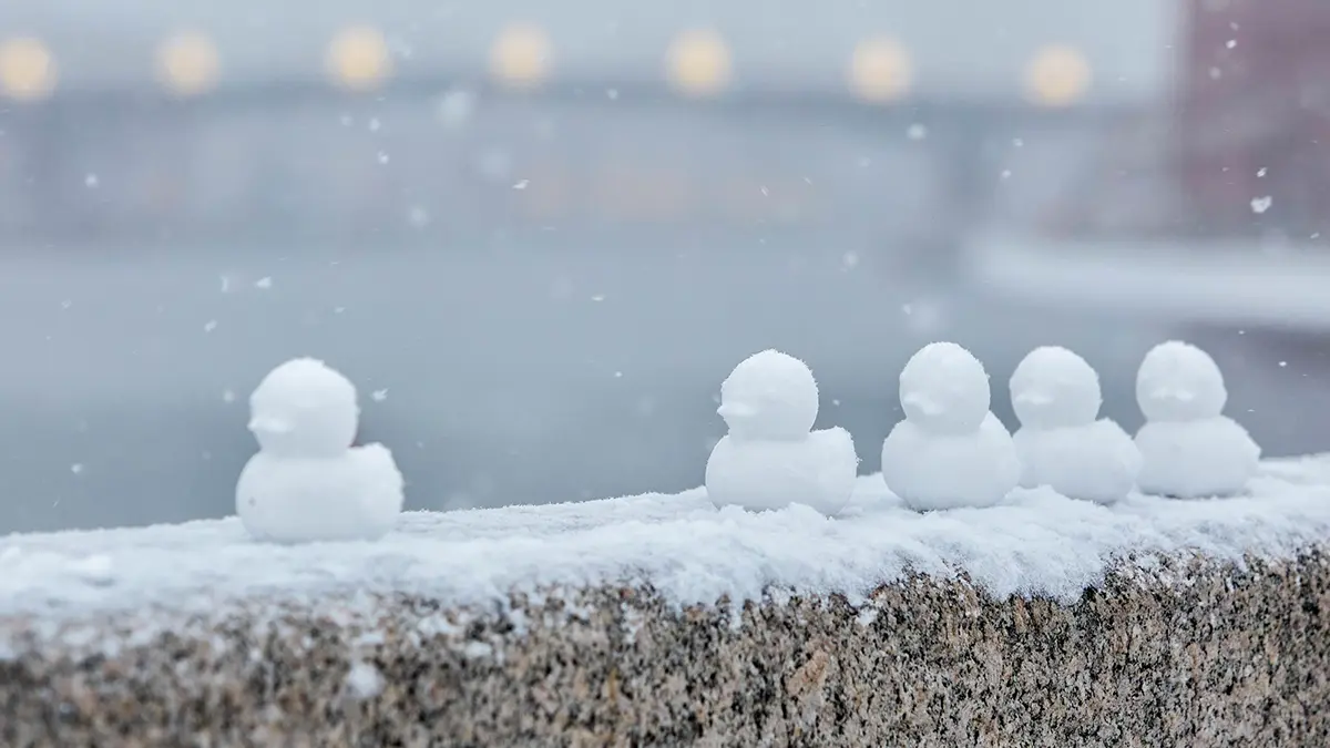 Синоптик Леус: В Крещенскую ночь в Москве ожидается снег
