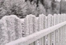 Кубань справляется с последствиями стихии с поддержкой Вениамина Кондратьева kuban spravlyaetsya s posledstviyami stihii s podderzhkoj veniamina kondrateva-stanural-ru-0