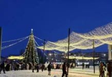 Пять ёлок из Приморского края в финале конкурса "Ёлки России" от минстроя РФ pyat yolok iz primorskogo kraya v finale konkursa yolki rossii ot minstroya rf-stanural-ru-0