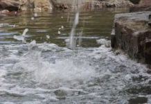 СФУ, Харбинский политех и АН Хэйлунцзяна: прорыв в очистке воды sfu harbinskij politeh i an hejlunczzyana proryv v ochistke vody-stanural-ru-0