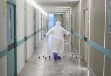 Вирус Нипах в Индии: Калькутта принимает меры для безопасности граждан virus nipah v indii kalkutta prinimaet mery dlya bezopasnosti grazhdan-stanural-ru-0