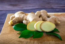 Елена Алексеенко об Университете Росбиотех и профилактике рака elena alekseenko ob universitete rosbioteh i profilaktike raka-stanural-ru-0