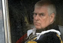 Эндрю Маунтбеттен-Виндзор и полиция Темзы: новое расследование endryu mauntbettenvindzor i policziya temzy novoe rassledovanie-stanural-ru-0