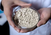 Красноярские ученые совершили прорыв-открыли арабиногалактан krasnoyarskie uchenye sovershili proryvotkryli arabinogalaktan-stanural-ru-0