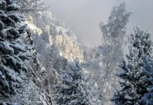 Леонид Медведев о надеждах найти Усольцевых в Красноярском крае leonid medvedev o nadezhdah najti usolczevyh v krasnoyarskom krae-stanural-ru-0