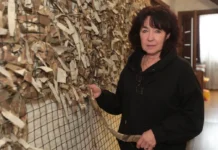 Молжаниновский район и САО на передовой гражданской солидарности molzhaninovskij rajon i sao na peredovoj grazhdanskoj solidarnosti-stanural-ru-0