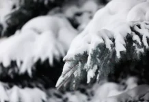 Поиски восьми туристов под руководством Сергея Лебедева в Пущино poiski vosmi turistov pod rukovodstvom sergeya lebedeva v pushhino-stanural-ru-0