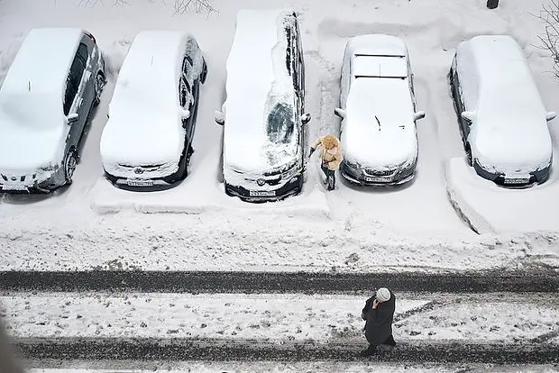 Вводная картинка