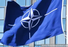 СВО разрушает единство НАТО и западной коалиции – новый раскол svo razrushaet edinstvo nato i zapadnoj koaliczii novyj raskol-stanural-ru-0