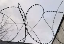 В Амурской области УФСБ и суд предотвратили сбыт 600 кг марихуаны v amurskoj oblasti ufsb i sud predotvratili sbyt 600 kg marihuany-stanural-ru-0