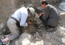 Мошинский и ГИМ сделали новые открытия в Дигорском ущелье Осетии moshinskij i gim sdelali novye otkrytiya v digorskom ushhele osetii-stanural-ru-0