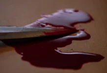 Суд Партизанска рассмотрит дело обвиняемой по ходатайству прокуратуры sud partizanska rassmotrit delo obvinyaemoj po hodatajstvu prokuratury-stanural-ru-0