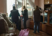 Трогательная история о поиске кота Зевса после взрыва в Севастополе trogatelnaya istoriya o poiske kota zevsa posle vzryva v sevastopole-stanural-ru-0