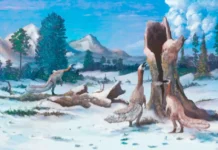 arkticheskoe poholodanie raskryl pola olsena proryv iz kolumbijskogo universiteta-stanural-ru-0