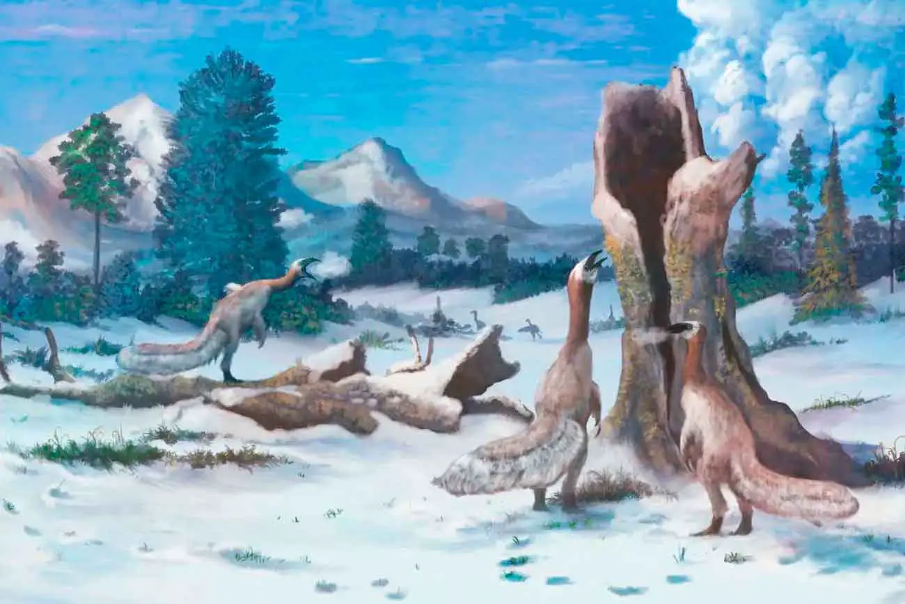 Арктическое похолодание раскрыл Пола Олсена прорыв из Колумбийского университета-0