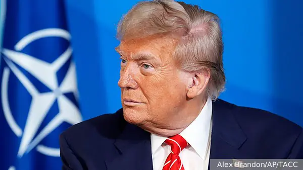 Politico назвала пять сценариев разрушения НАТО Трампом