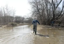 Денис Паслер заявил, паводок Свердловской области под контролем denis pasler zayavil pavodok sverdlovskoj oblasti pod kontrolem-stanural-ru-0