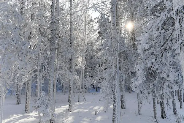 Вводная картинка
