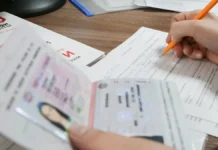 mvd rossii utochnilo poryadok zameny prav i otvetstvennost voditelej-stanural-ru-0