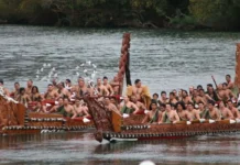 Растительный рацион маори в Новой Зеландии эпохи Уаикато XVIII века rastitelnyj raczion maori v novoj zelandii epohi uaikato veka-stanural-ru-0