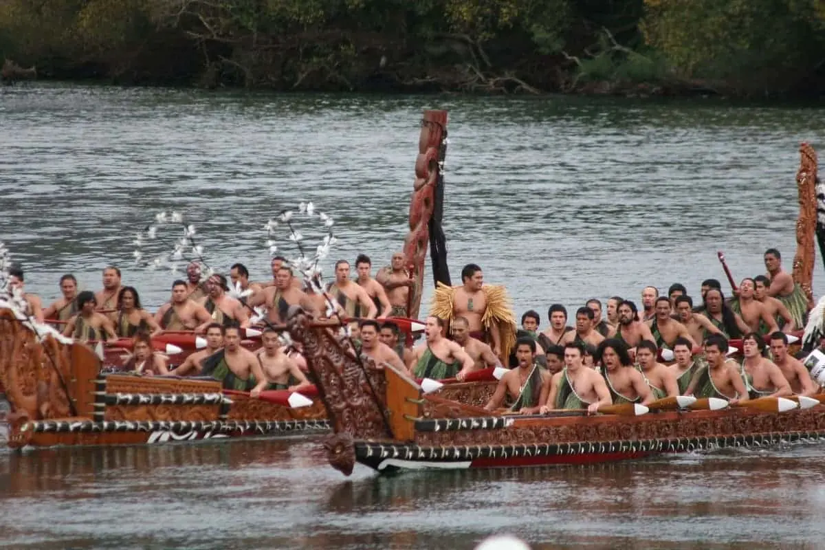 Растительный рацион маори в Новой Зеландии эпохи Уаикато XVIII века-0