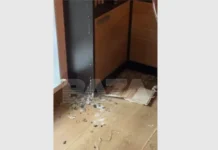 saratovchanka obnaruzhila golubyatnyu u sebya doma posle otpuska v tailande-stanural-ru-0