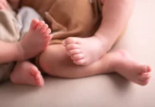 Три королевские двойни появились в Приморье за одну неделю tri korolevskie dvojni poyavilis v primore za odnu nedelyu-stanural-ru-0