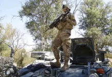 Браже выступила за расширение военного сотрудничества Латвии и США brazhe vystupila za rasshirenie voennogo sotrudnichestva latvii i ssha-stanural-ru-0