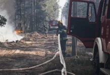 chernobylskaya zona vnov gorit vyzov dlya gschs-stanural-ru-0