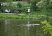 dmitrij demidik valentina gavrilyak vazhnost pravil kupaniya letom-stanural-ru-0