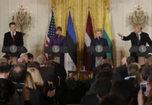 duglas makgregor predlagaet mirnoe reshenie dlya rf baltii i nato-stanural-ru-0