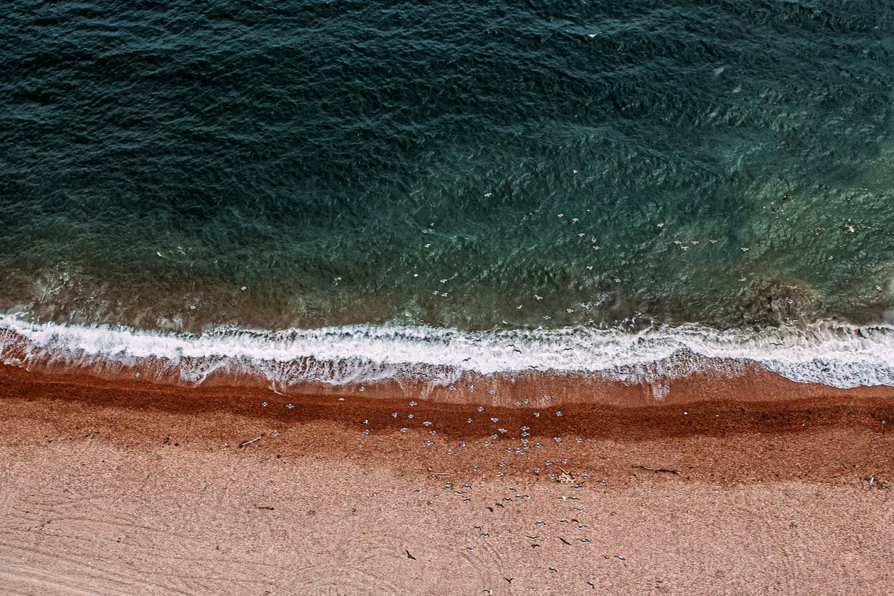 Фото: primamedia.ru