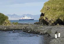 napravlyaetsya na tenerife kak obespechit bezopasnost-stanural-ru-0