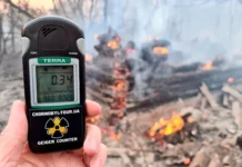 pozhar v chernobyle prognozy gschs ukrainy i vladimira kuzneczova-stanural-ru-0