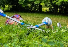 Правильное устройство живой изгороди. Мнение Кирилла Воробьева и Дмитрия Бондаря pravilnoe ustrojstvo zhivoj izgorodi mnenie kirilla vorobeva i dmitriya bondarya-stanural-ru-0