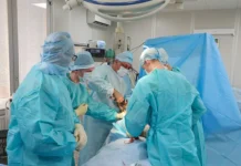 rakova i pmef2026 obsudili transplantacziyu ruk po oms v rossii-stanural-ru-0