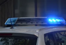 student iz omska zhertva prestupleniya uchastniki iz ekaterinburga i spb-stanural-ru-0