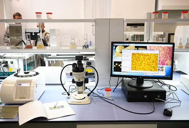 scientificrussia.ru