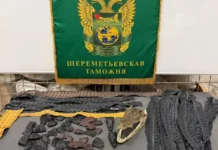 sheremetevskaya tamozhnya izyala chasti krokodilov u passazhira iz kitaya-stanural-ru-0