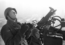 22 июля отметили день рождения Кирилла Толмацкого и Мирей Матье 22 iyulya otmetili den rozhdeniya kirilla tolmaczkogo i mirej mate-missionary-su-175313250300-0